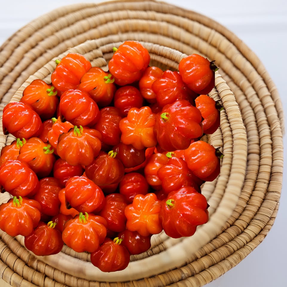 Surinam Cherry: How to Grow & Care for This Exotic Fruit