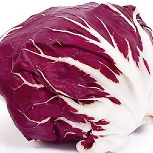 100 SEEDS- Radicchio Seeds - Palla Rosa