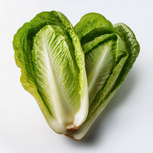 Lettuce-  Romaine - Little Caesar- 200 seeds