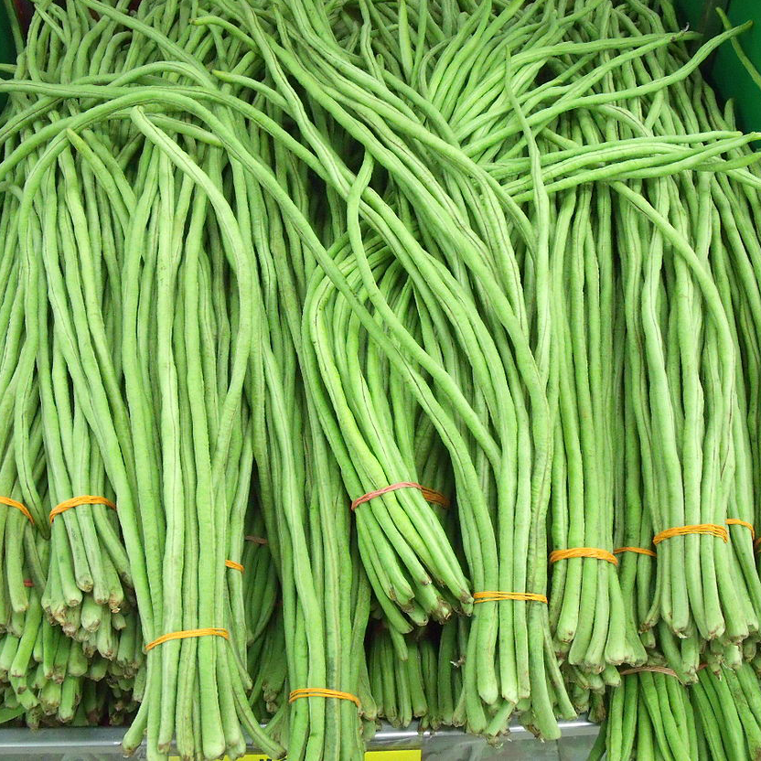 Yard Long Bean - You Fong Wong - 30 seeds